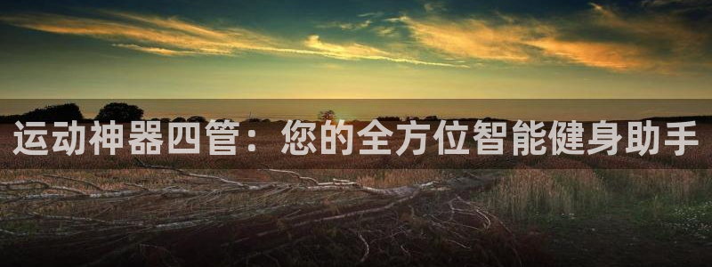 fb体育集团官网首页:运动神器四管:您的全方位智能健身助手